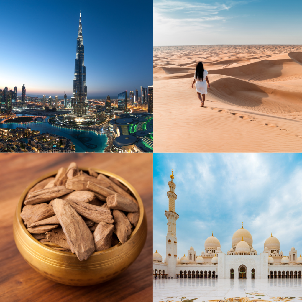 DEL 10 AL 15 DE DICIEMBRE
¡Prepárate para una experiencia única en Abu Dhabi y Dubái!
Descubriremos el esplendor de los Emiratos Árabes Unidos en un viaje exclusivo diseñado para mujeres aventureras. Un destino donde el lujo y la tradición se encuentran