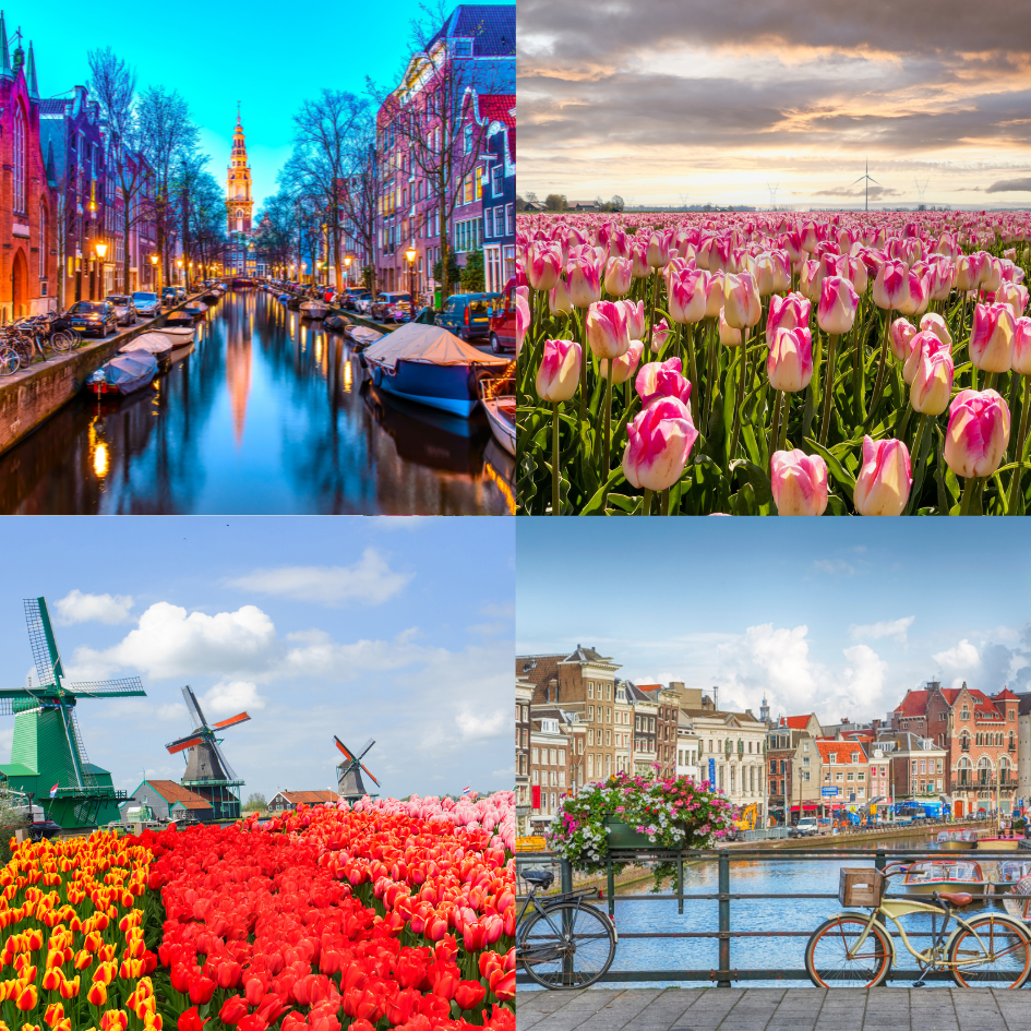 DEL 23 al 27 DE ABRIL
Nos adentraremos en un mundo de colores y contrastes, con un itinerario exclusivo que combina la elegancia de los jardines de Keukenhof, la historia y el encanto de Utrecht y su majestuoso castillo, Amsterdam con una experiencia muy especial y la serenidad de la campiña holandesa, donde los molinos y pequeños pueblos parecen sacados de una postal. También podremos ver algo que solo se puede ver una vez al año 